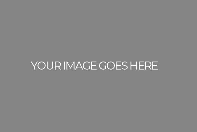 , Ignite Demo Sale – Gradient,