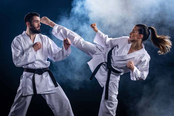 Martial Arts in West Raleigh