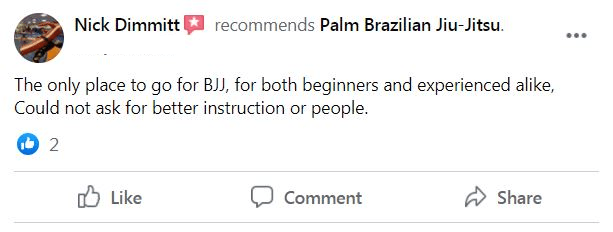 Adult 3, Palm Brazilian Jiu Jitsu Saginaw MI
