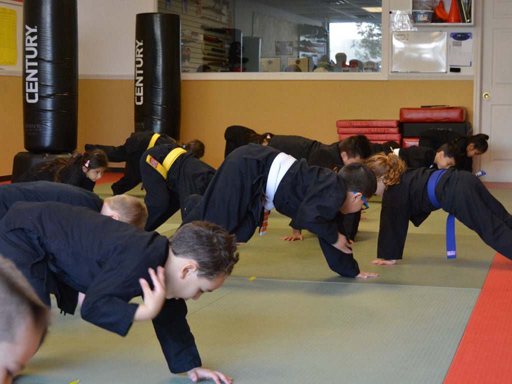 1200x900GMB 4 1 1024x768, Raijin Self Defense Bay Shore NY
