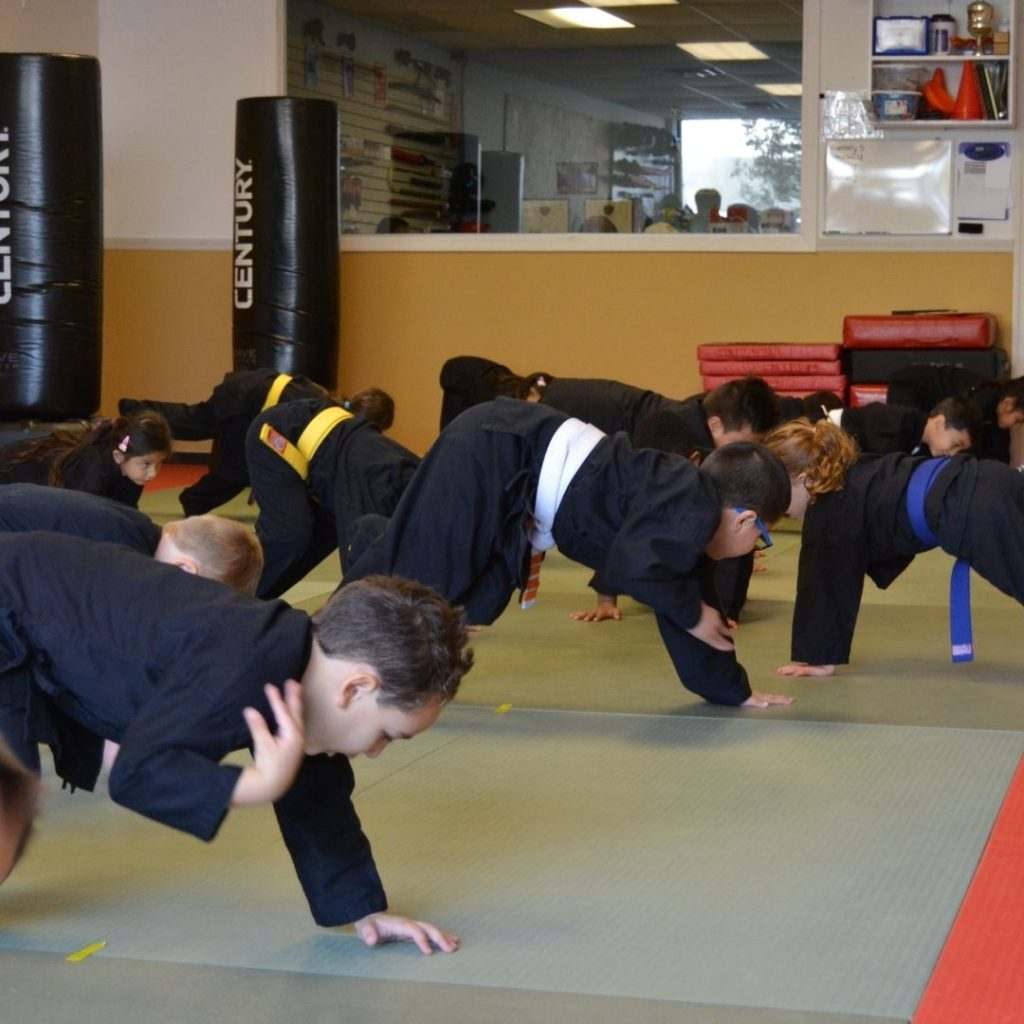 1080x1080 Blitzimage3 1024x1024, Raijin Self Defense Bay Shore NY