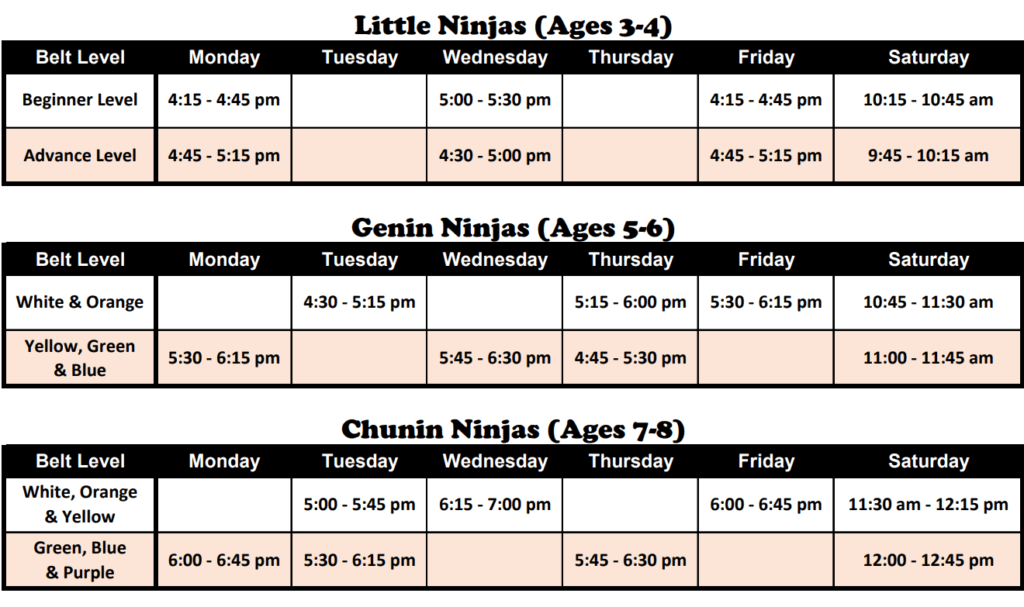 Schedule Pic 1 1024x607, Raijin Self Defense Bay Shore NY